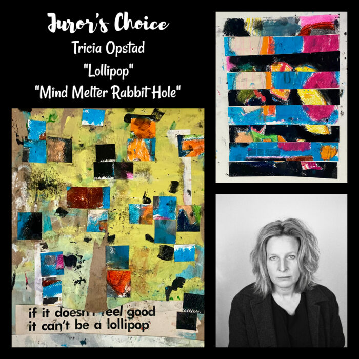 juror's choice - tricia opstad